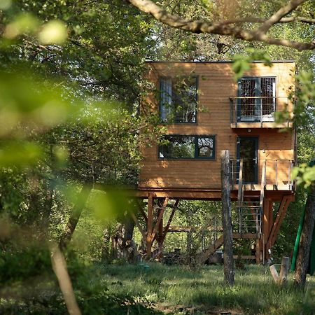 Domek Na Drzewie W Dolinie Uradu Exteriér fotografie